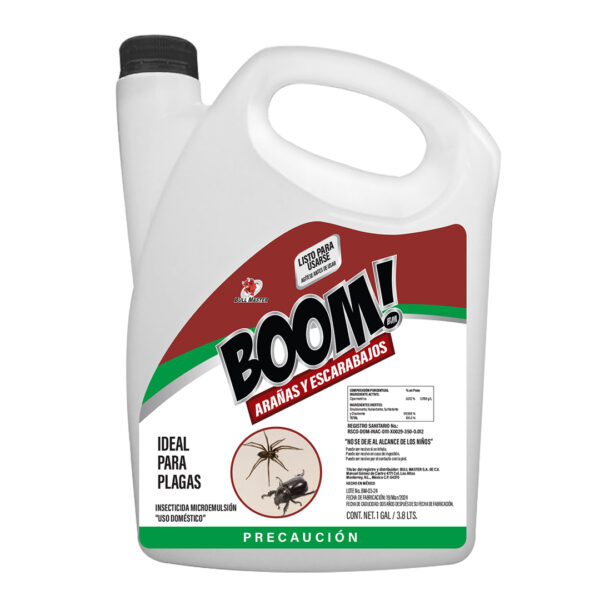 Arañas y Escarabajos