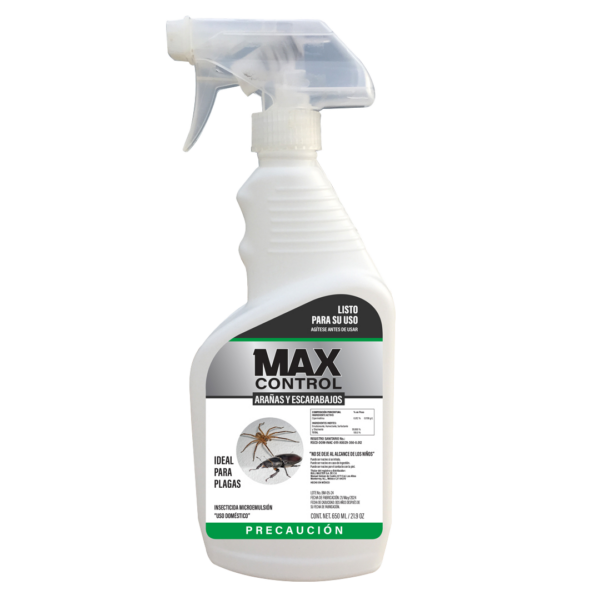 Arañas y Escarabajos